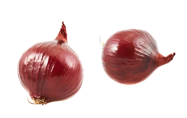 Rote Zwiebel isoliert — Stockfoto