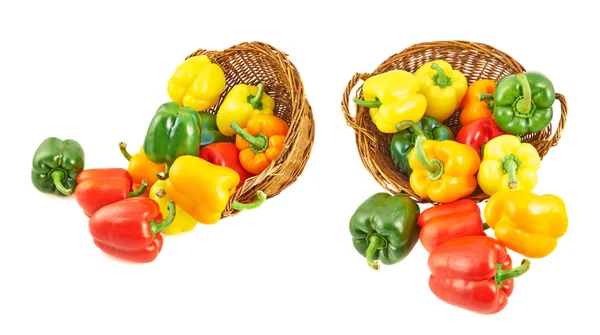 Wicker basket full of bell peppers — Stock Photo, Image