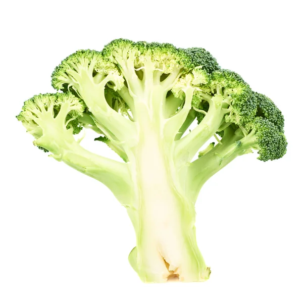 Groene broccoli gesneden in cutaway geïsoleerd — Stockfoto
