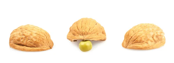 Pea under one of three walnut shells — Stock Photo, Image