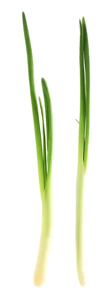 Świeży zielony łup na białym tle — Zdjęcie stockowe