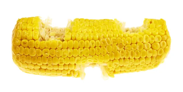 Cornstick corn on the cob isolated — Stock Photo, Image