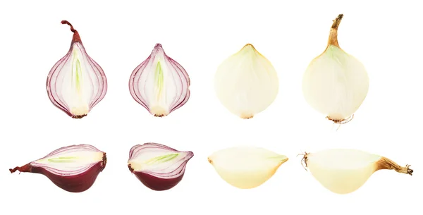 Cut in halves white and red onions — Stock Photo, Image