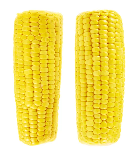 Maíz de palo de maíz en la mazorca aislado —  Fotos de Stock