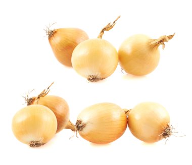 izole birden fazla soğan kompozisyon