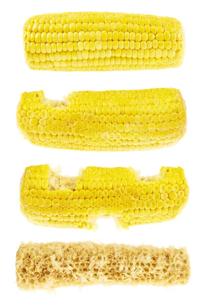 分離された cornstick を食べることのプロセス — ストック写真