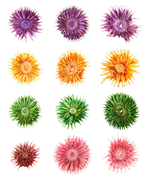 Dried medley potpourri flowers isolated — Stock Photo, Image