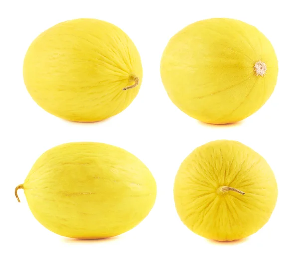 Melone giallo isolato — Foto Stock