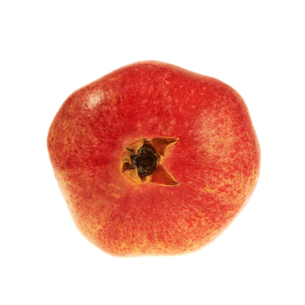 Granatapfelfrucht isoliert — Stockfoto