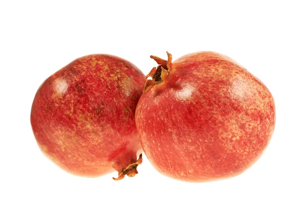 2 석류 과일 구성 — 스톡 사진