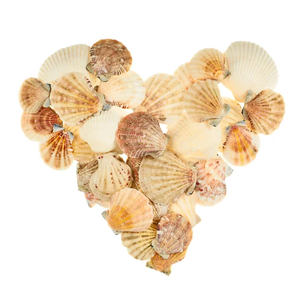 Forma de coração feito de conchas — Fotografia de Stock