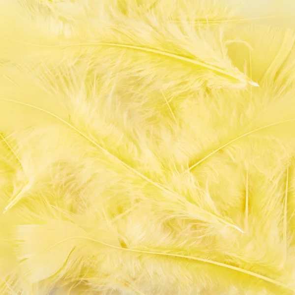 黄色羽毛组成 — 图库照片