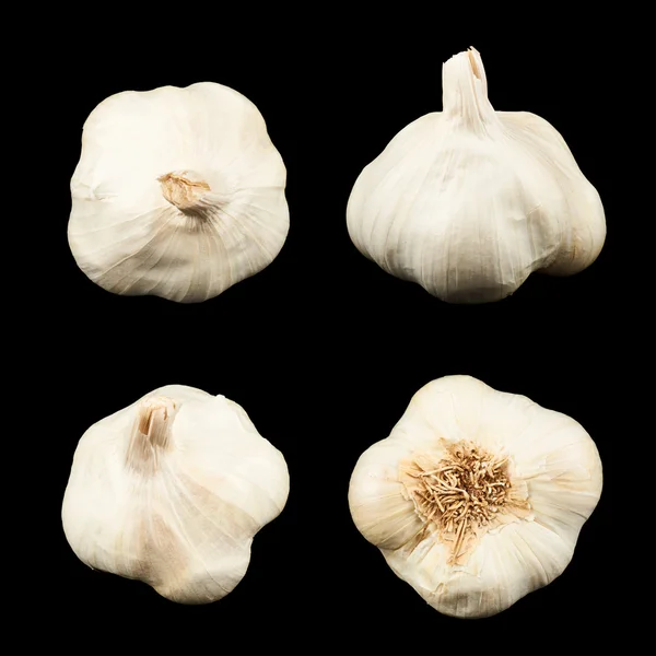 Weißer Knoblauch — Stockfoto