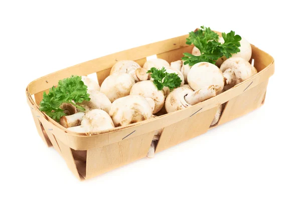 Champignon Pilze und Grünzeug — Stockfoto