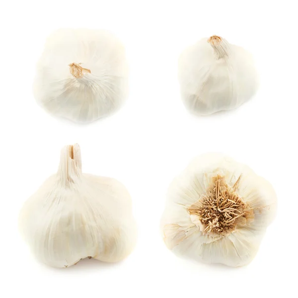 Weißer Knoblauch isoliert — Stockfoto