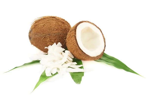 Frutos de coco sobre as folhas — Fotografia de Stock