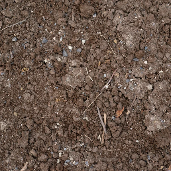 Bad quality earth soil — Stock Photo, Image