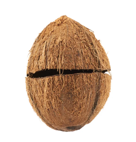 Zwei Hälften der Kokosnussschale — Stockfoto