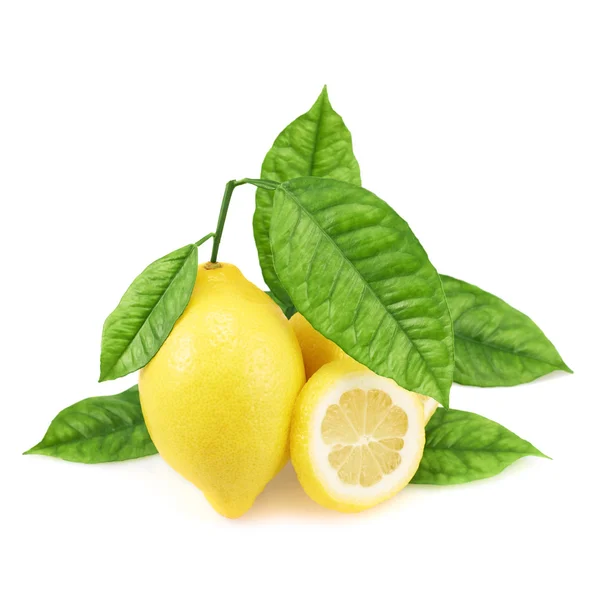 Composizione di limoni e foglie — Foto Stock