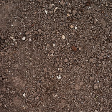 kahverengi toprak parçası