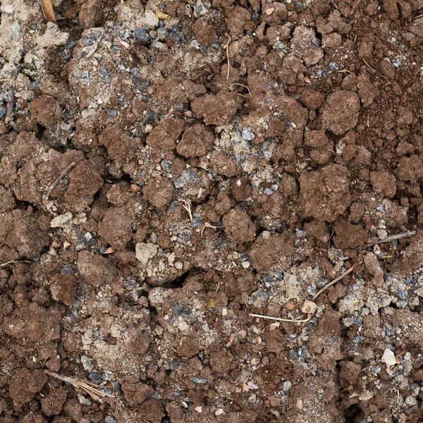 Bad quality earth soil — Stock Photo, Image