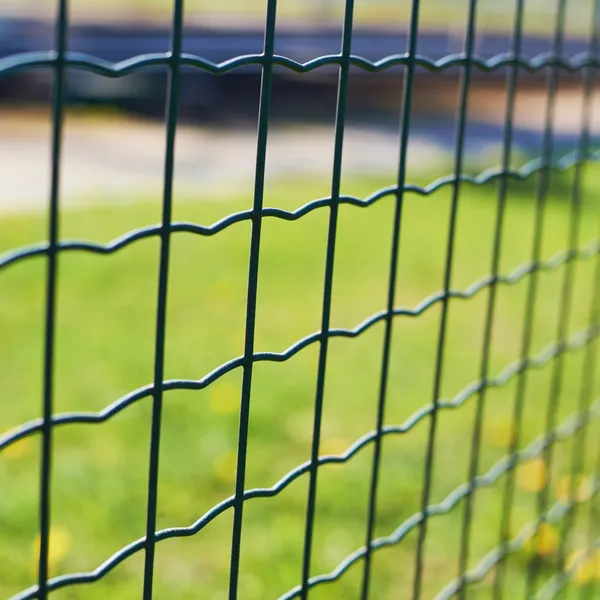 Groen veld achter het hek — Stockfoto