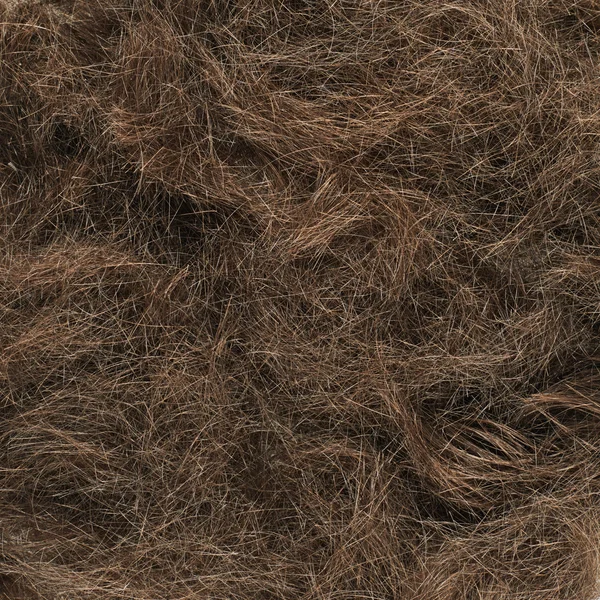 Střih vlasů fragment — Stock fotografie