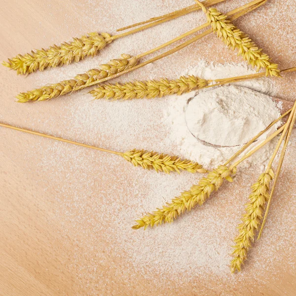 Ears of wheat and flour — Stock Photo, Image