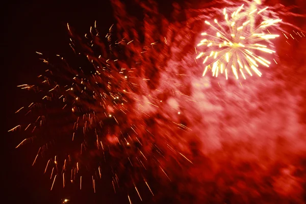 Firework — Stock Photo, Image