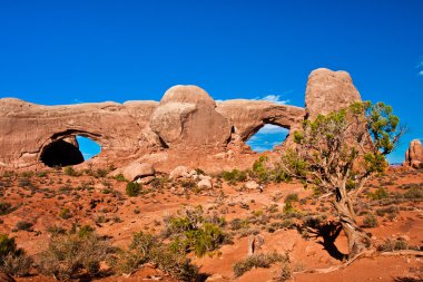 pencere arch arches Ulusal Parkı, utah, ABD