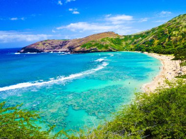 Snorkeling Bay in Oahu,Hawaii clipart