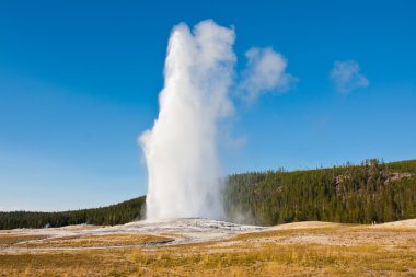 Eruption of Old Faithful geyser at Yellowstone National Park clipart