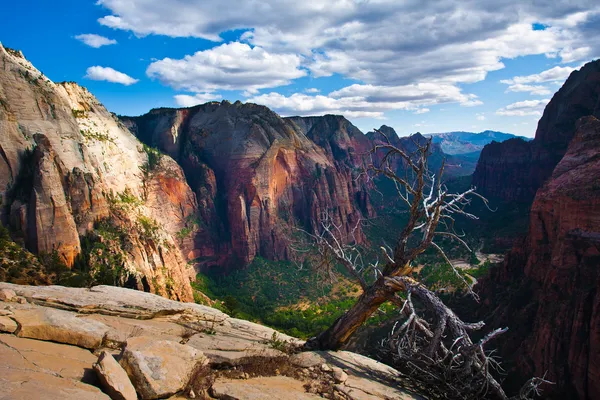 Bellissimo paesaggio nel Parco Nazionale di Sion, Utah — Foto Stock