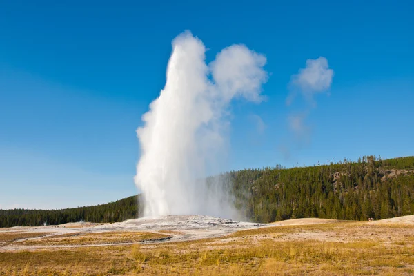 Régi hűséges gejzír kitörése a Yellowstone Nemzeti Parkban — Stock Fotó