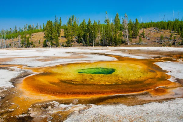 Бассейн Blue Hot Spring в национальном парке Йеллоустоун — стоковое фото