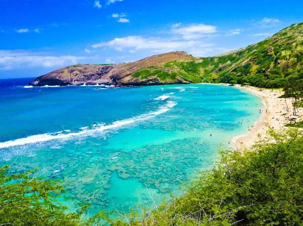 Snorkling bay i oahu, hawaii — Stockfoto