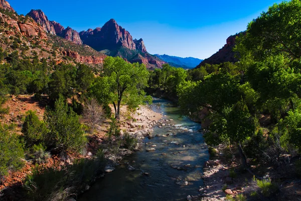 Virgin River Atravessando Zion National Park, Utah, Estados Unidos — Fotografia de Stock