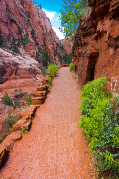 Angel Landing Trail no Parque Nacional de Zion, Utah — Fotografia de Stock