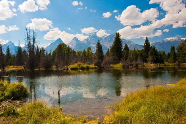 Teton 반사 그랜드 Teton 국립 공원에서 — 스톡 사진