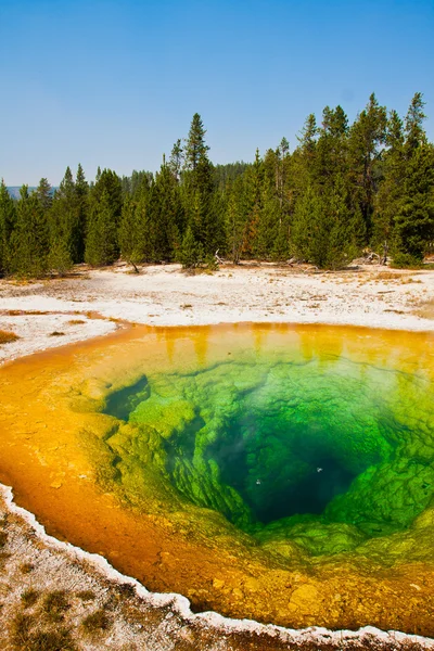 Λίμνη δόξα πρωινού στο εθνικό πάρκο yellowstone, ΗΠΑ — Φωτογραφία Αρχείου