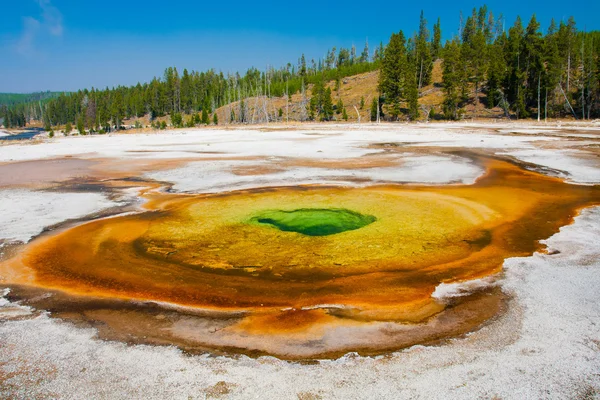 Hermosa piscina termal en el Parque Nacional de Yellowstone — Foto de Stock