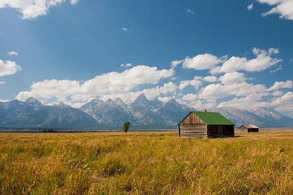 Fila Mormone nel Grand Teton National Park, Stati Uniti — Foto Stock