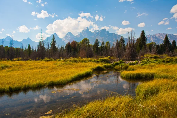 Teton reflectie in grand teton national park Stockafbeelding