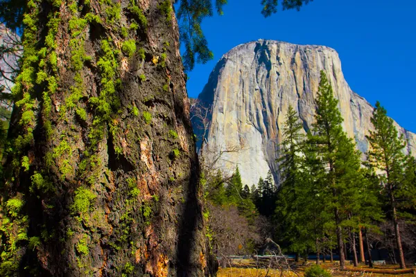 El Captain Rock en el Parque Nacional Yosemite, California — Foto de Stock