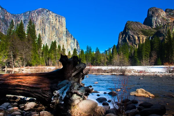 Yosemite valley in yosemite national park, Californië Stockfoto