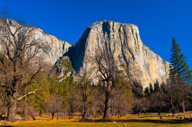 El Captain Rock in Yosemite National Park,California clipart