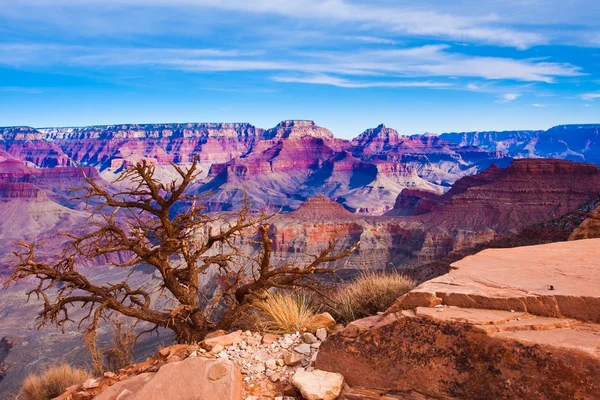 Büyük Kanyon Ulusal Parkı, arizona muhteşem manzara