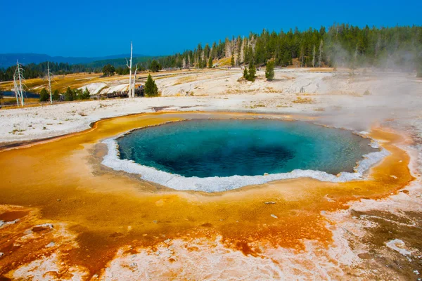 Vackra blå varma våren pool i yellowstone national park Stockfoto