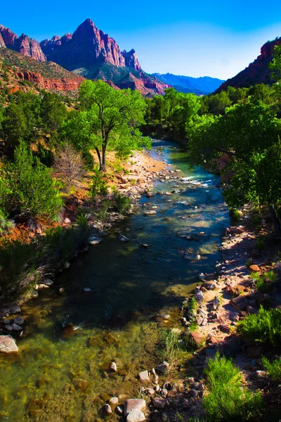 Virgin River Running through Zion National Park,Utah,United States — Stock Photo, Image