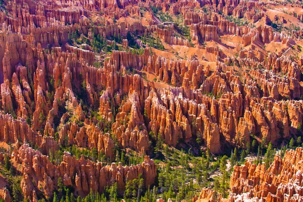 Amphitheater of Hoodoos from Inspiration Point, Bryce Canyon National Park, Utah, USA — Stock Photo, Image